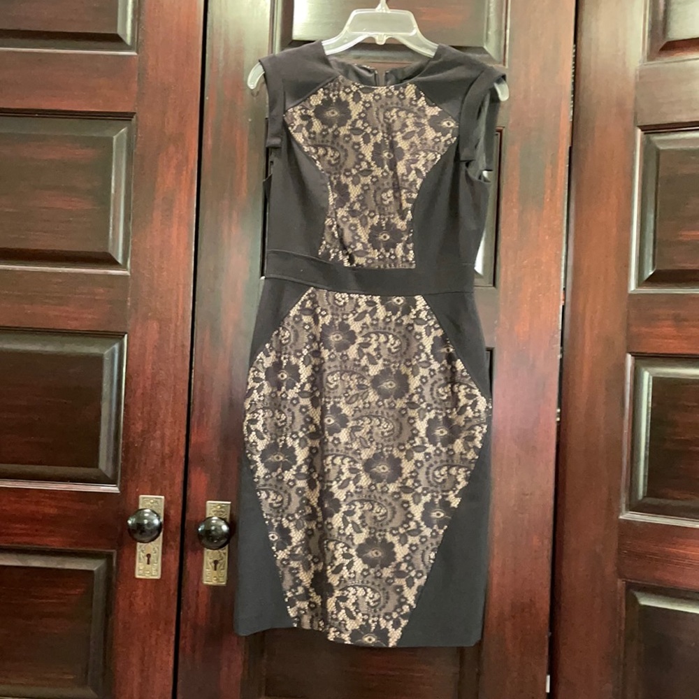 Adriana Papell Black and Nude Dress